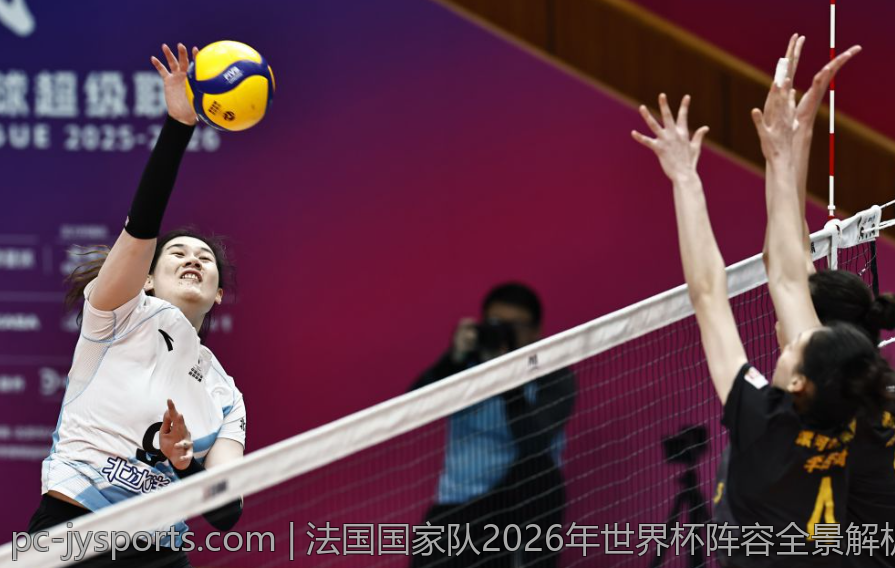 法国国家队2026年世界杯阵容全景解析