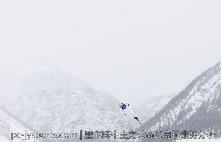 里尔阵中主力球员的身价走势分析